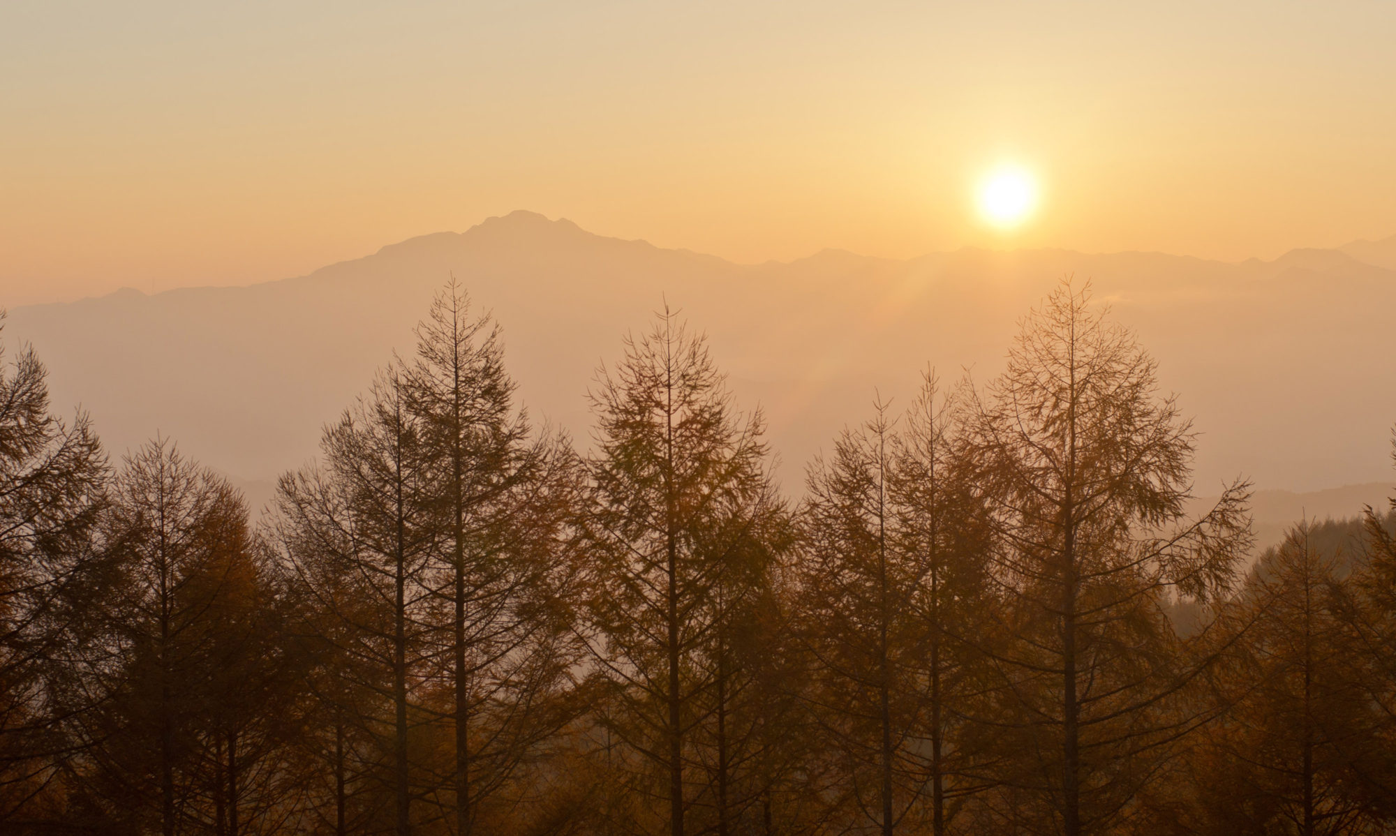 石川県回復期リハビリテーション病棟連絡協議会